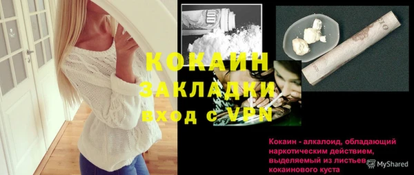 ПСИЛОЦИБИНОВЫЕ ГРИБЫ Каменка