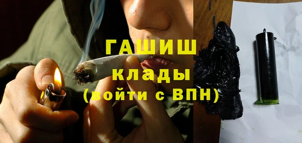 гидра Каменногорск
