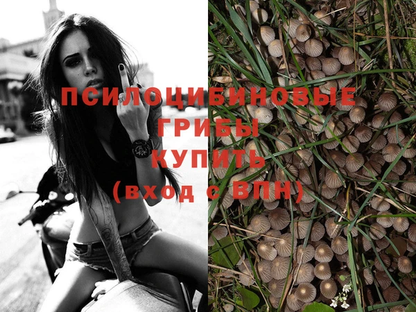 ПСИЛОЦИБИНОВЫЕ ГРИБЫ Каменка