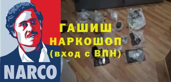 гидра Каменногорск