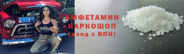 гидра Каменногорск