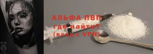 стафф Новокубанск