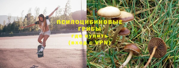 герыч Инсар