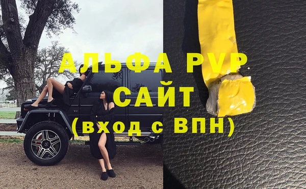 ПСИЛОЦИБИНОВЫЕ ГРИБЫ Каменка