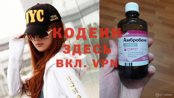 герыч Иннополис